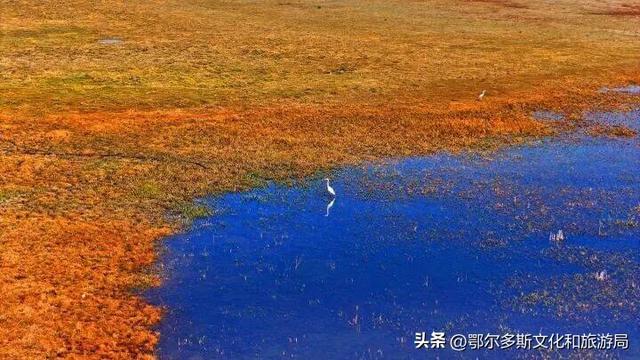 内蒙古杭锦旗：湿地秋景惹人醉