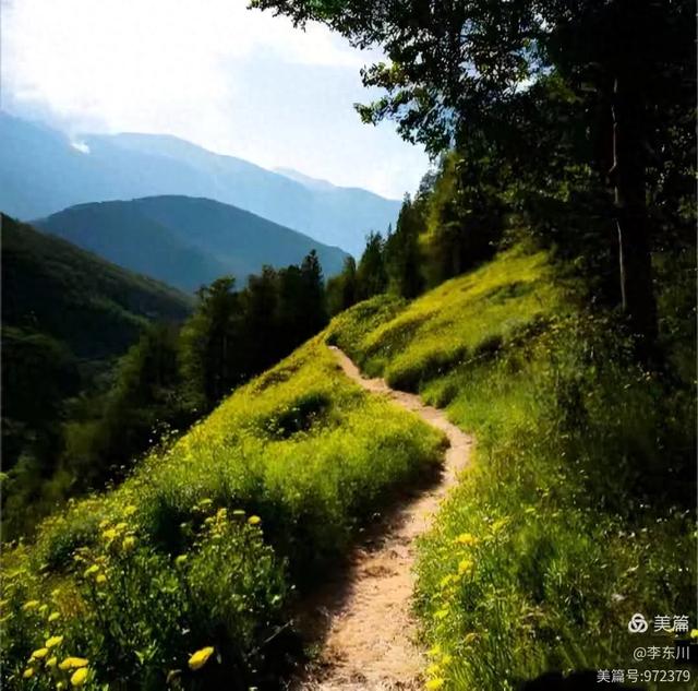 旧日时光（二）