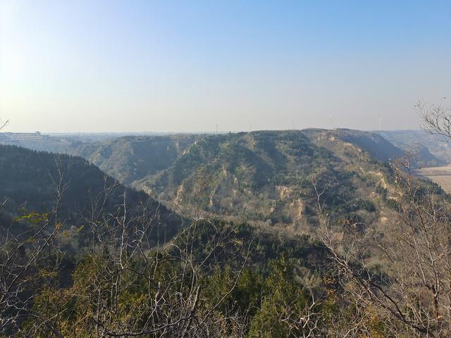 绿美河南有古树⑥丨广武山上，这些古树听着楚汉争霸的历史长大