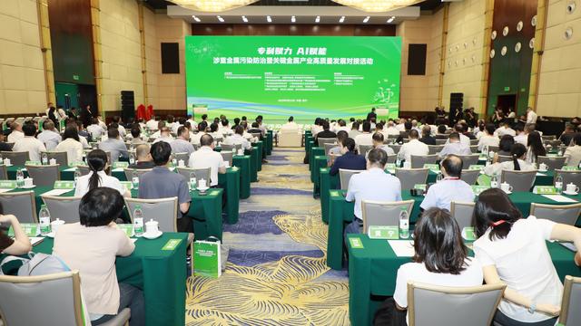 专利赋力、AI赋能，为广西涉重金属污染防治和关键金属产业高质量注入澎湃动力