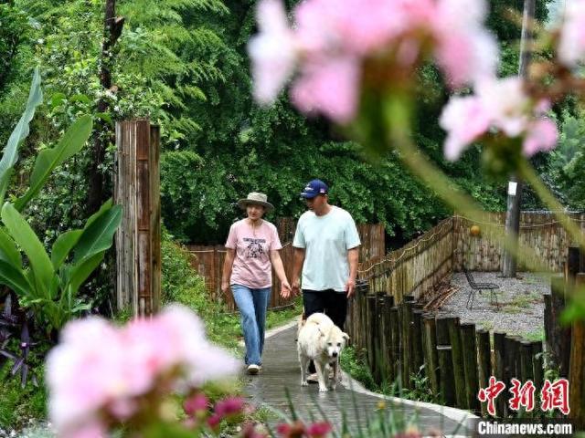 丛林老屋攻略（乡村老屋巧改造 民众乐享田园慢生活）