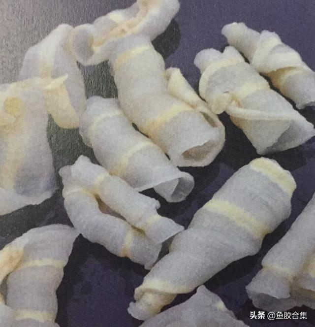 红鱼鱼胶多少钱一斤 2025年红鱼鱼胶多少钱一斤合适