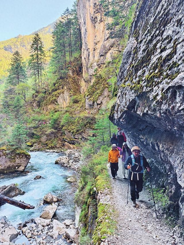 迪庆州发展林下康旅经济新业态：雪域秘境 步履生金