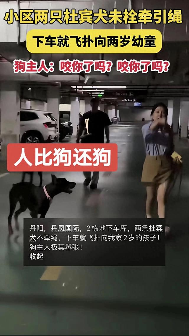 丹阳车库杜宾犬后续，警方正在排查，疑似狗主人发声称对方饮酒