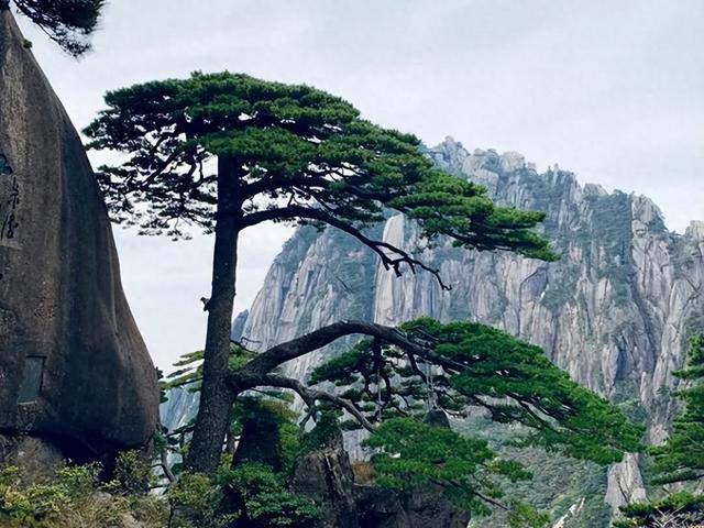 黄山爬山攻略：190门票+160索道，我用亲身经历告诉你值不值得
