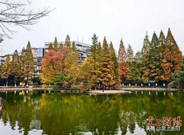 市动物园迎来“颜值巅峰”