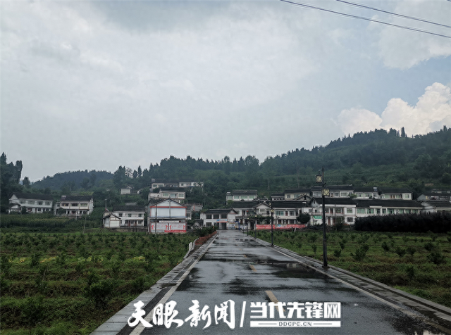 世外桃源幸福村：银杏金黄引客来，民族和睦“留”人心