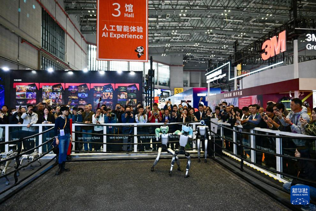 第八届进博会丨人形机器人格斗表演亮相进博会