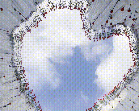 长春冰封玫瑰园美出圈！这才是冬日浪漫天花板