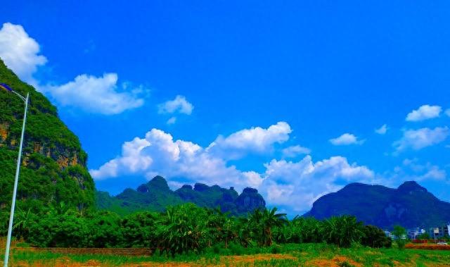 家有属猪的，是最大的福气！特别是59、71年的	，晚年健康又长寿！