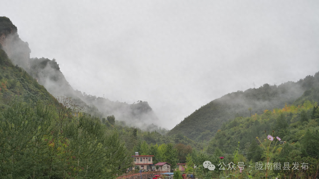 十月秋雨润田河 嘉陵镇银杏梦谷现水墨画卷​