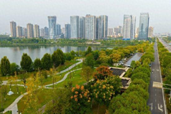 九江市八里湖新区：秋日栾树色彩活