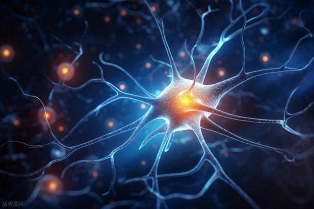 银离子驱动的人工神经元突破传统计算瓶颈，类似于真实脑细胞