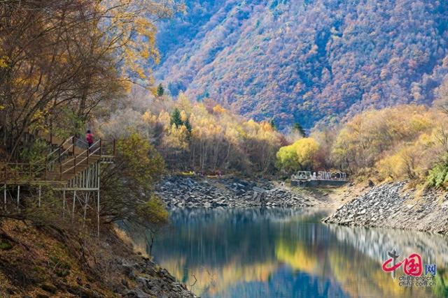 四川茂县松坪沟景区层林尽染  美景如画