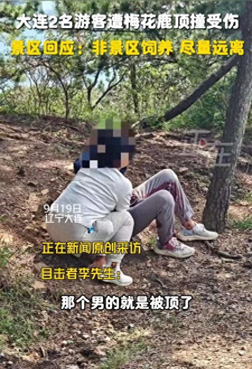 2名游客突然遭攻击受伤，知名景区紧急回应！