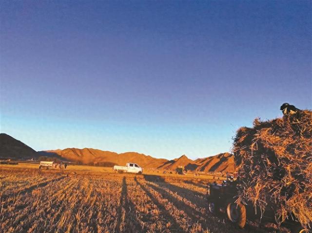 「辉煌60年·新时代西藏答卷」秋染林周好风光