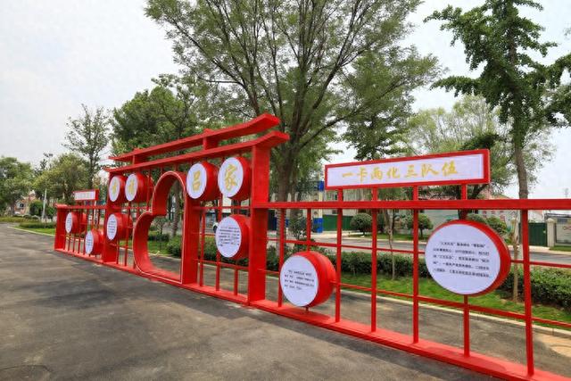 采摘、烧烤、露营……济南这个年入千万元的“网红村”等你来打卡
