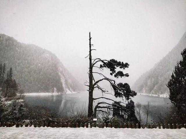 禁止穿越九寨沟国家级自然保护区核心区告知书