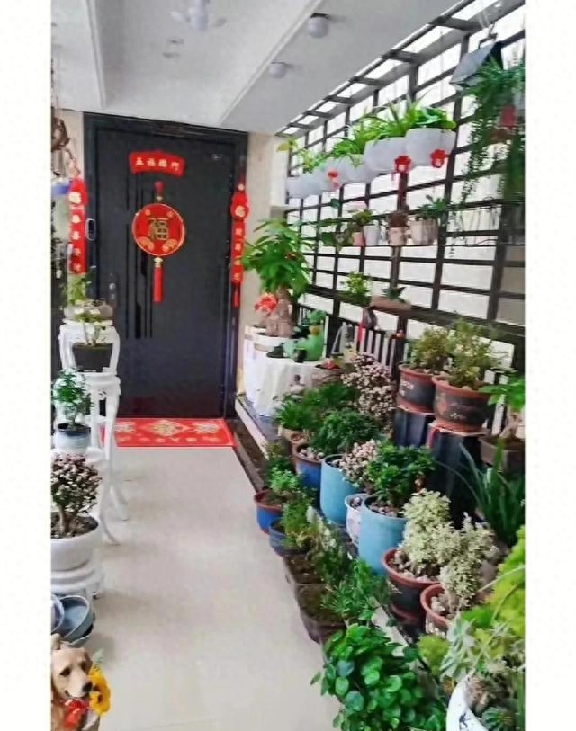 邻居的房子逃脱攻略（发现一花友花养的太美）