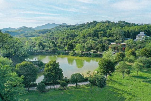 慢村快港，渣濑湾的时空交响