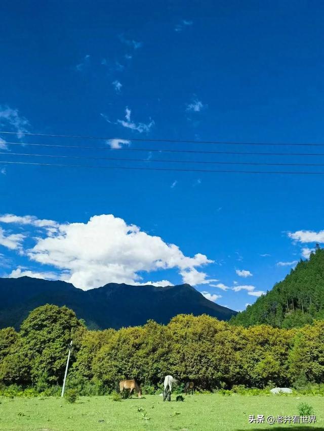西藏纪行（二）抵达拉萨 文‖井明新