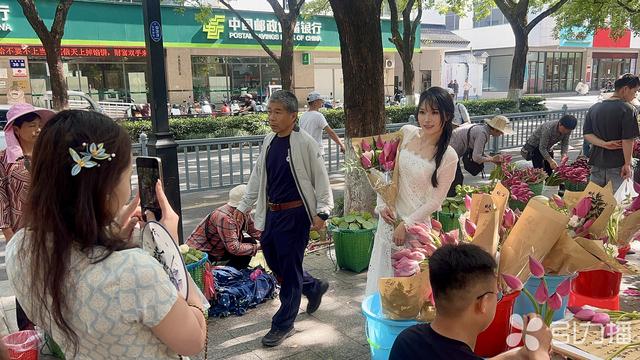 系列活动启幕！在苏州“荷”你相约，不止荷花市集