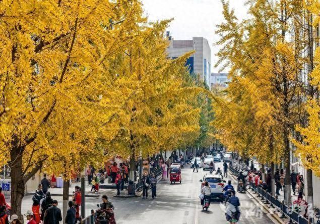 人气顶流！杏运西城citywalk攻略来了！