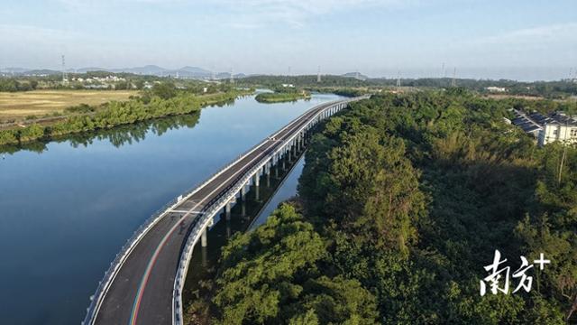 骑行打卡“红树林+古村落”，阳西大洲桥12月通车