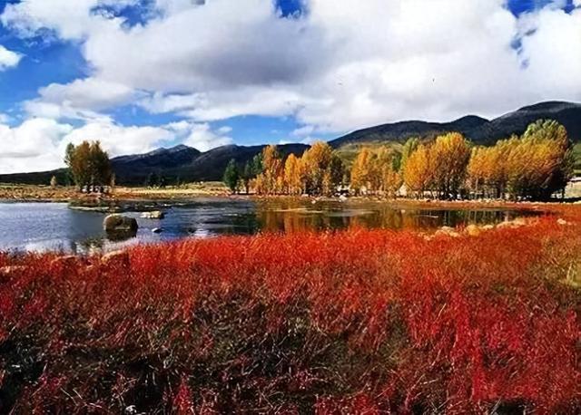 西藏林芝！五彩秋景宛如童话，这份攻略带你玩转西藏小江南！