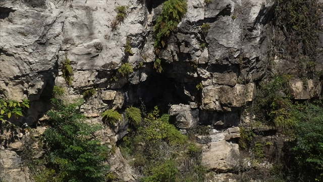 情侣徒步喜马拉雅，被困47天男子生还，真是“吃女友”才活下来吗