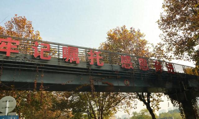 一袭焦糖色冬装！郫都老城梧桐，解锁街头温暖诗意