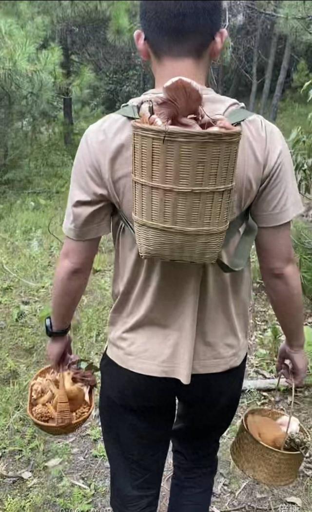 苍山禁止采菌游后，采菌游领队：苍山周边都没有了，不敢带怕被抓
