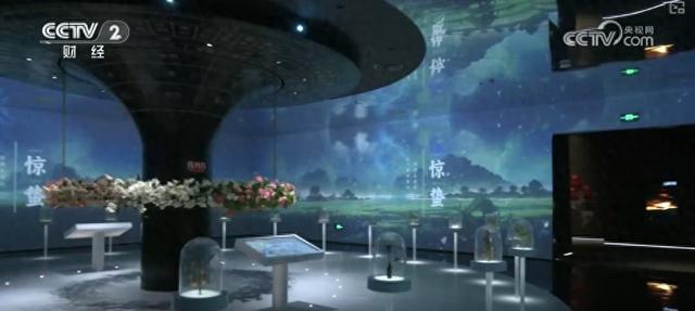 “自然文化+智能科技”研学项目走俏 海外研学团来华热度攀升