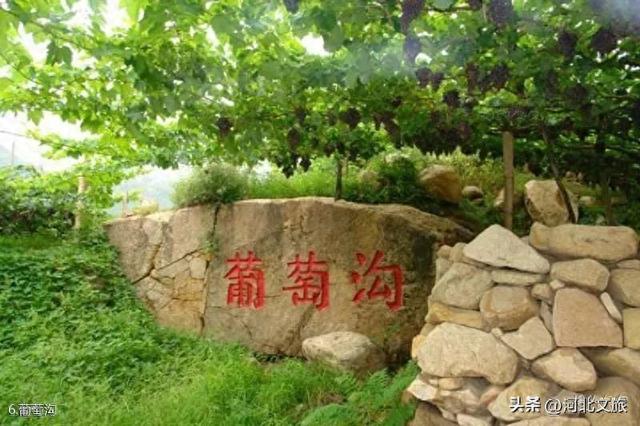 邂逅河北百年葡萄树，逛酒庄、品红酒、宿葡园，开启“藤”下慢时光！