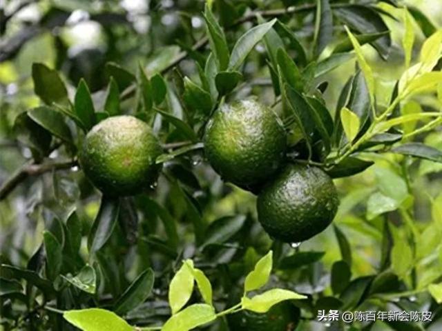 热文 第210页
