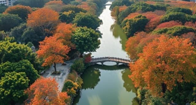广东10城深秋限定！红叶银杏+古寺，小众路线美到刷爆朋友圈！