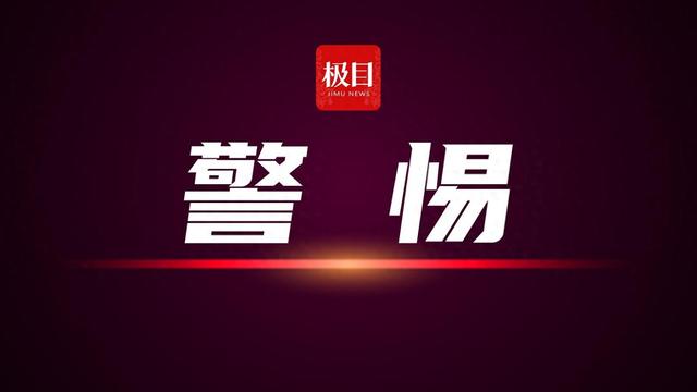 非法持有枪支判刑多久（男子非法持有枪支）