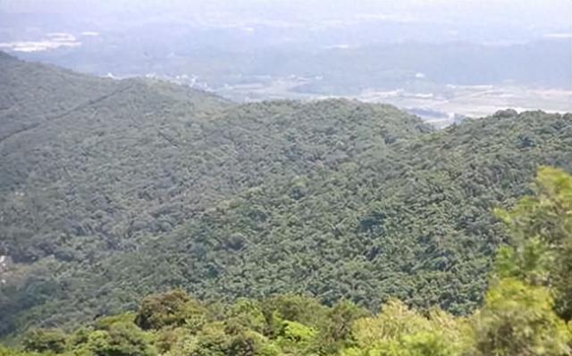 增城人对“南香山”了解吗？“南香山”有着非常深厚的历史文化！