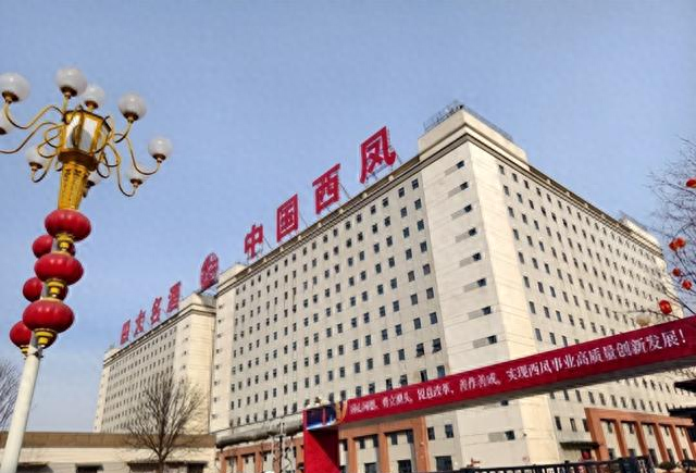 陕西五朵金花，几乎人人都说西凤酒，为啥其它4瓶却很少见？