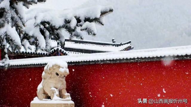 跟着组图解锁五台山冬日美景风雪中的守门狮