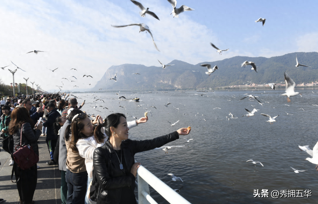 当“避寒旅居”邂逅“春城”！昆明上榜TOP10