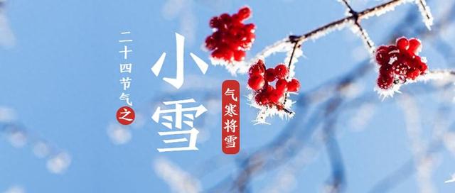 “上午小雪，冻死牛；下午小雪	，暖烘烘	”，今年几点小雪？