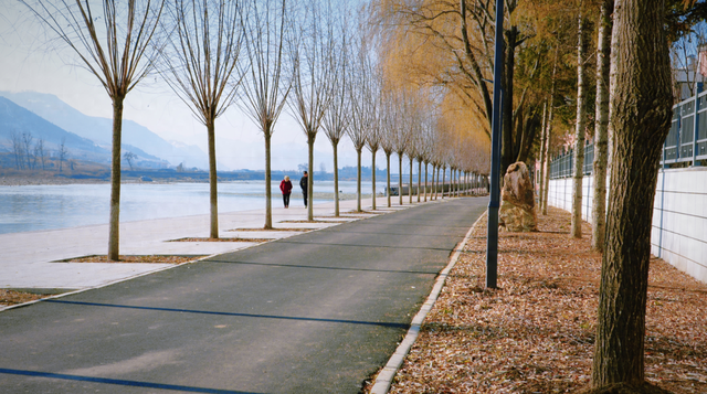 临江市江心岛公园焕新开园 市民添生态休闲好去处
