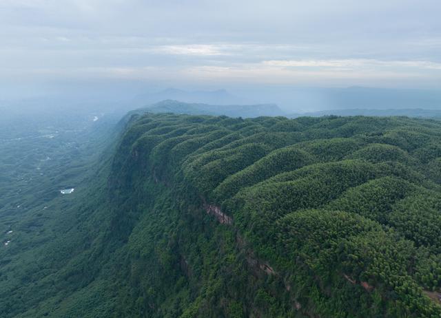中国的环保行动促进竹文化传承