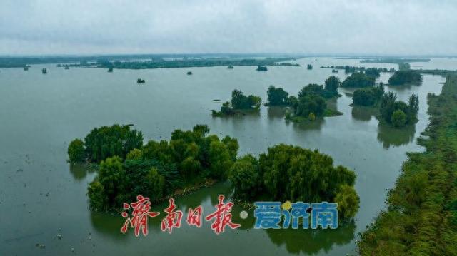 秋雨润湖景如画 鹭鸟翩跹映白云