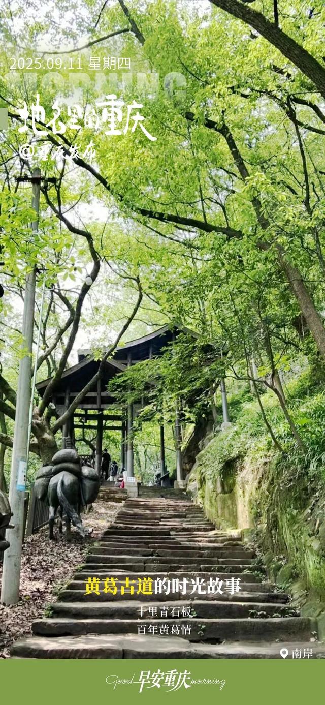 小布丁·早安 | 地名里的重庆：黄葛古道的时光故事