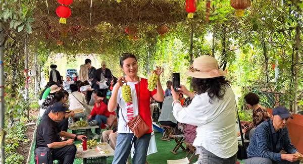 青岛即墨龙泉莲花田园：国庆假期人流如潮  乡村文旅热度引爆假日出行