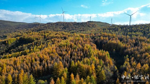 【摄影报道】秋韵未歇：张家川山水的立冬回眸