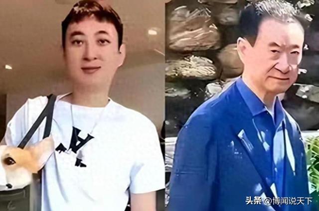 拔出萝卜带出泥！万达一年蒸发800亿后，王思聪再次传出大丑闻