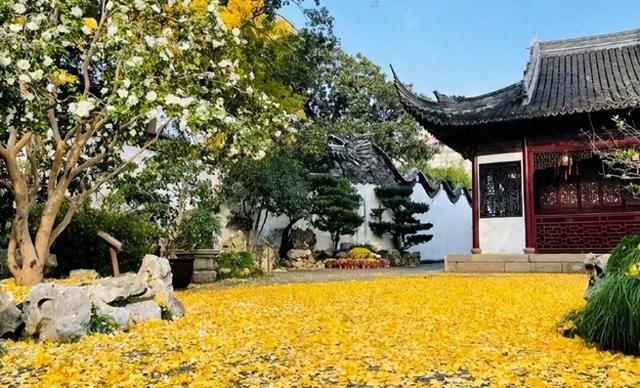 十二月暖阳拥抱着城市，古典园林披上迷人华服 我内心瞬间归于宁静